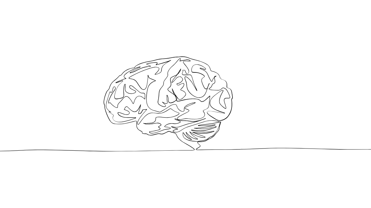 The First Pattern — The Architecture of the Brain