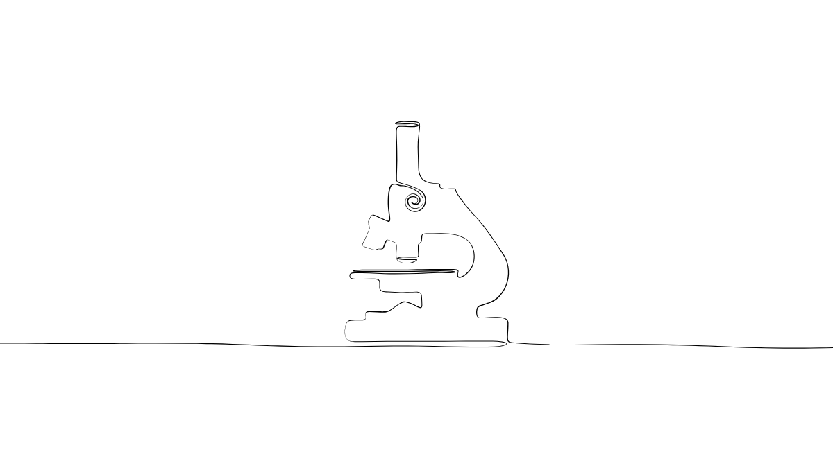 The Curiosity — Growing a Mind That Wonders